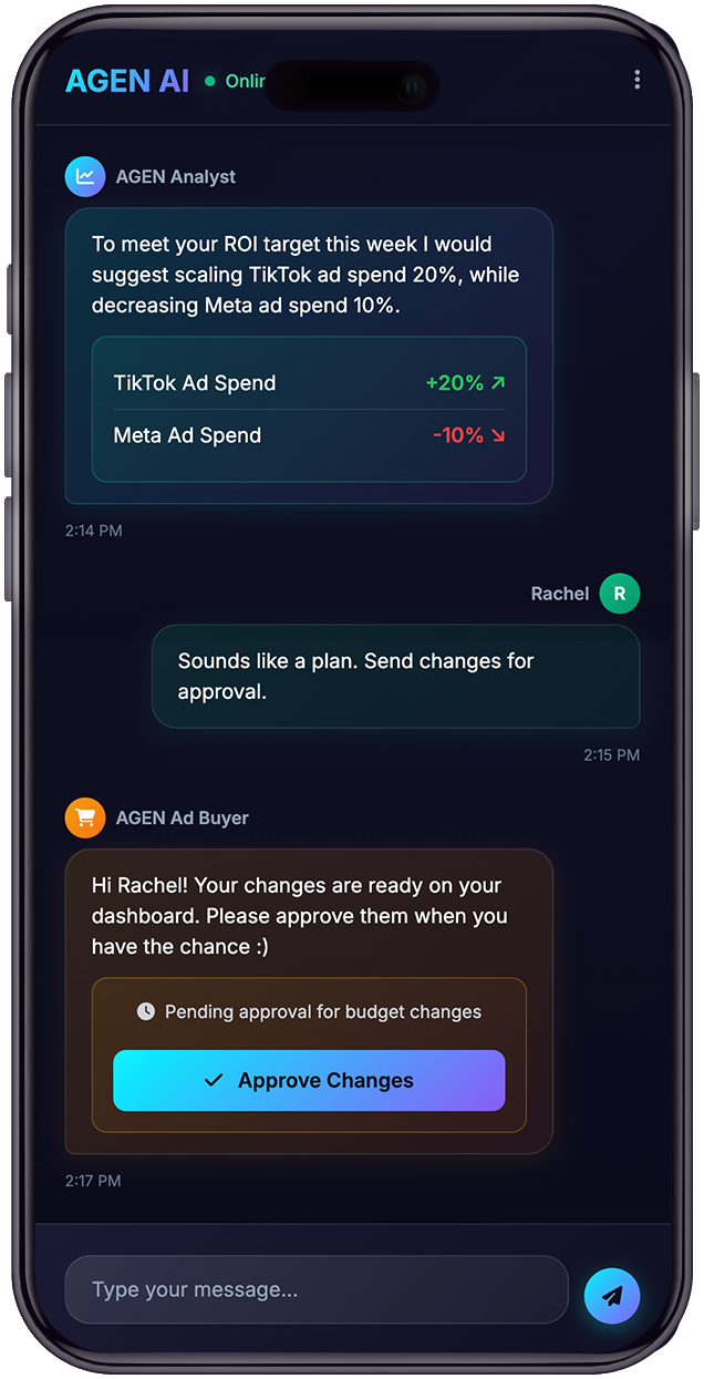 Marketing audit chat conversation on mobile